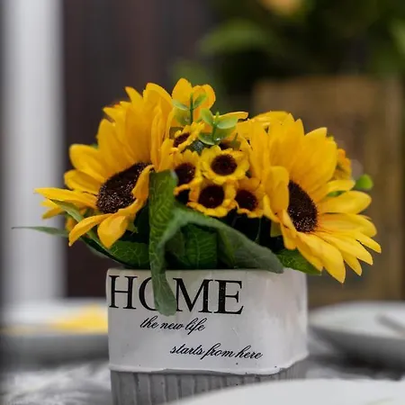 דירה Durmitor 41, Kompleks Titova Palisat