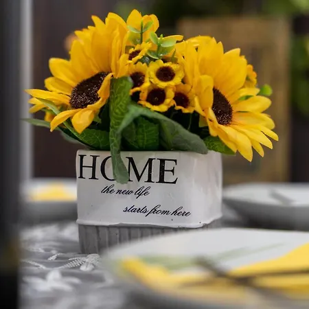 Durmitor 41, Kompleks Titova דירה