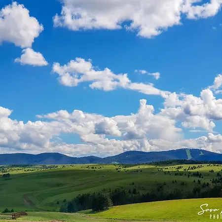 Durmitor 41, Kompleks Titova